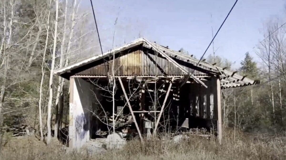 Image Credit: Avery Zucco